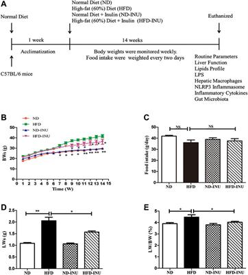 Inulin Exerts Beneficial Effects on Non-Alcoholic Fatty Liver Disease via Modulating gut Microbiome and Suppressing the Lipopolysaccharide-Toll-Like Receptor 4-Mψ-Nuclear Factor-κB-Nod-Like Receptor Protein 3 Pathway via gut-Liver Axis in Mice